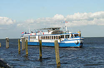MS Angela Esmee