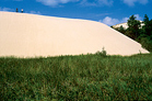 Wanderdünen bei Leba
