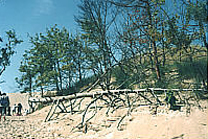 Wanderd&uuml;nen bei Leba