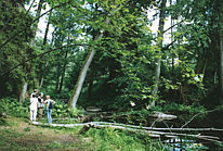 Lahemaa_Nationalpark